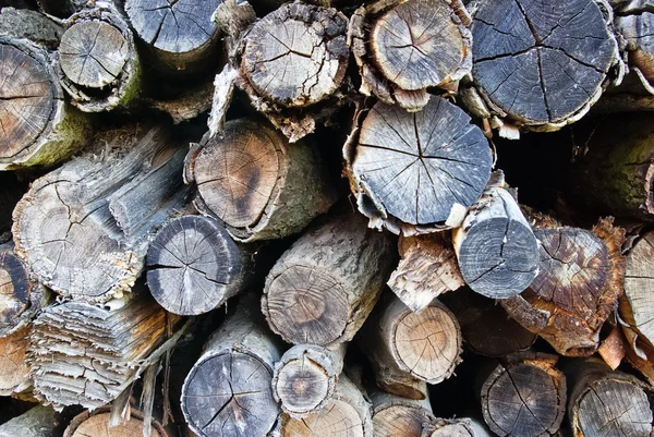 原木和木材制品，在一堆被折叠 — 图库照片