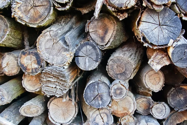 I tronchi e prodotti in legno, che sono stati piegati su un mazzo — Foto Stock