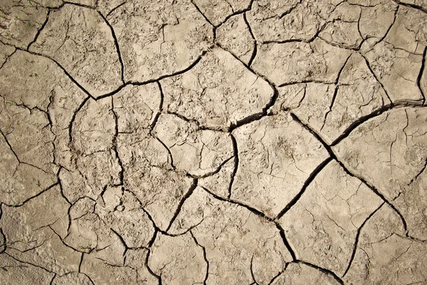 The cracks on the parched earth at the bottom of the dried-up lake — Stock Photo, Image