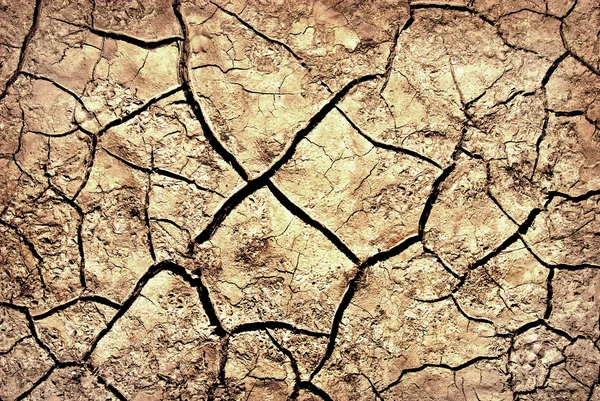The cracks on the parched earth at the bottom of the dried-up lake — Stock Photo, Image