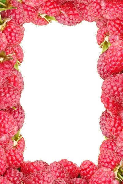 Rahmen von Himbeeren isoliert auf weißem Hintergrund. — Stockfoto