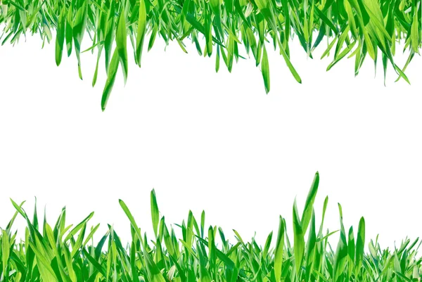 緑の芝生の白い背景で隔離のフレーム. — ストック写真