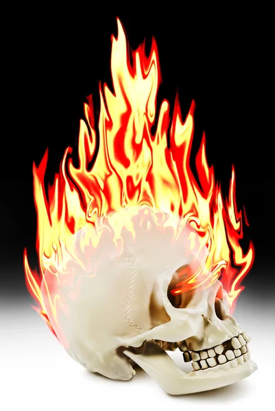 Il teschio umano che brucia nel fuoco — Foto Stock