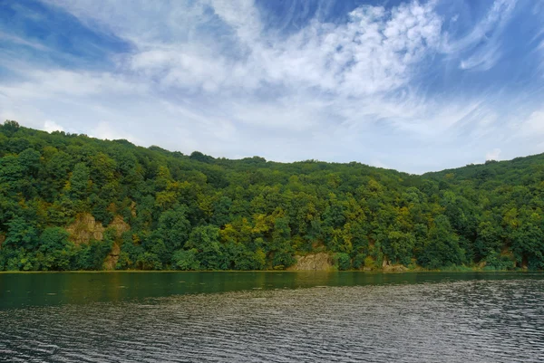 Rocky river banka kalın, yeşil orman — Stok fotoğraf