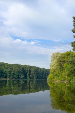 Genç yeşil Orman Gölü suya yansıyan