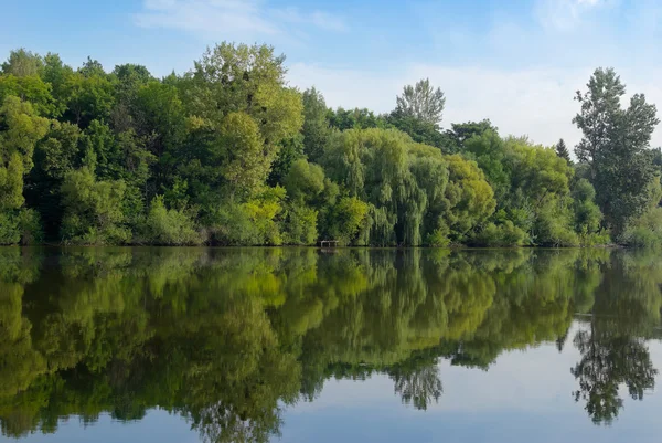 Giovane foresta verde riflessa nelle acque del lago — Foto Stock