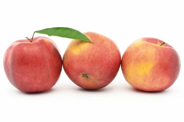 Rode, rijpe appels Jonagold geïsoleerd op witte achtergrond — Stockfoto