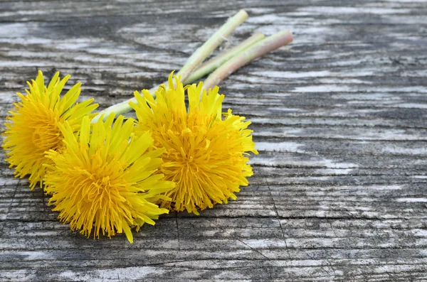 Flores de dente de leão amarelo em um fundo de madeira — Fotografia de Stock