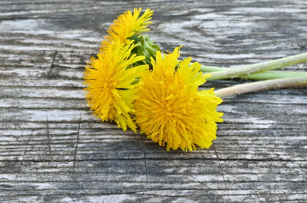 Flores de diente de león amarillo sobre un fondo de madera — Foto de Stock