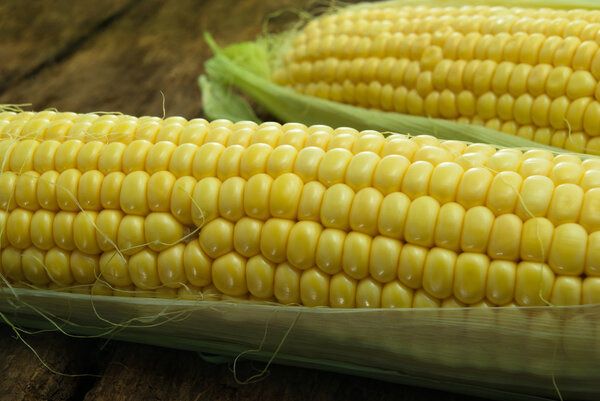 Large, mature, young corn on the wooden background