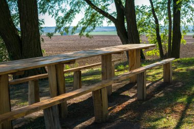 Tahta masa ve ağaçların arasındaki bir tarlada sıralar.