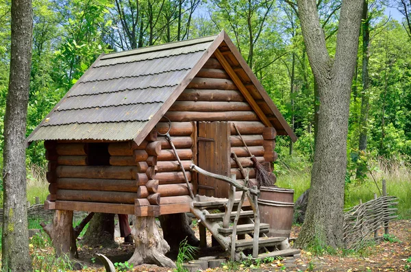 Orman, cadı Baba Yaga evi içinde ahşap kulübe