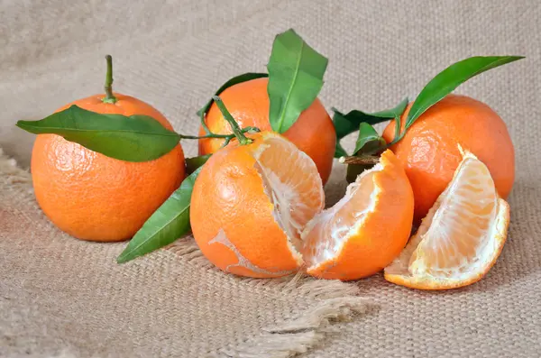 Frutas cítricas frescas e maduras com um saque áspero — Fotografia de Stock