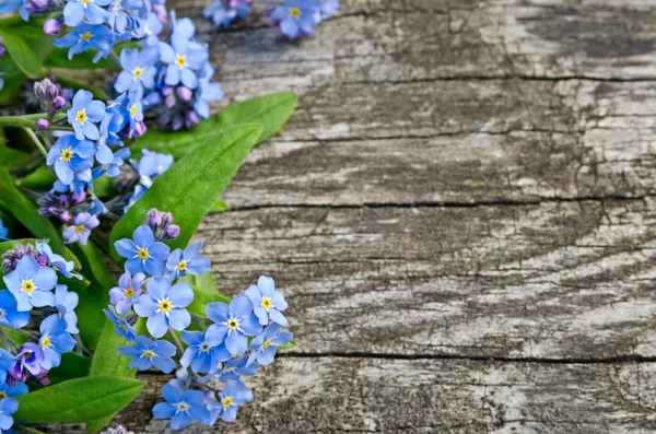 Bukett av blå glömma mig på en trä bakgrund — Stockfoto