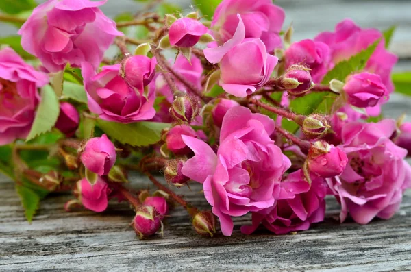 Bunch of pink roses on a wooden background — Stock Photo, Image