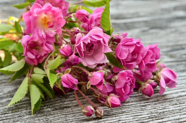 Ramo de rosas rosadas sobre un fondo de madera — Foto de Stock