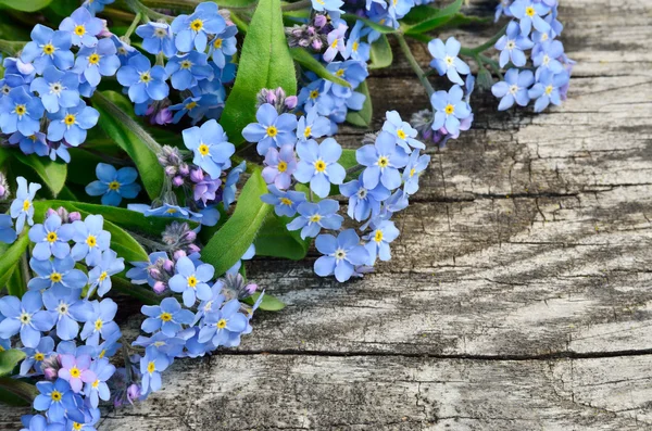 나무 배경에 파란색 꽃이 피어 오르는 모습 — 스톡 사진