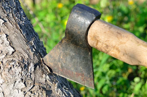 Vecchia ascia arrugginita bloccata in un tronco di legno secco — Foto Stock