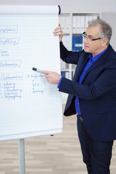 Team leader or manager giving a presentation — Stockfoto