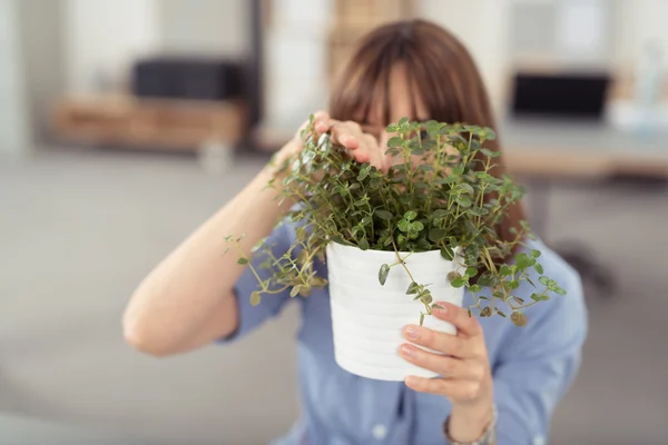 Oficina mujer mirando a través de pequeñas plantas en la mano — Foto de Stock