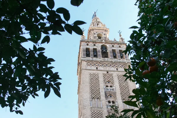 Giralda de Sevilla