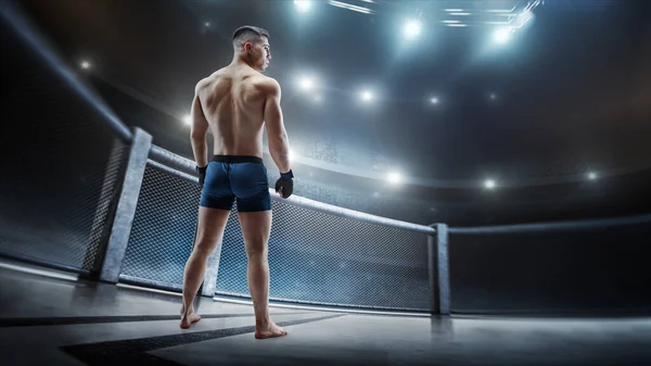 MMA kafesi. Spor konsepti. Sekizgen 'de MMA dövüşçüsü. Sporcu. Arkadan görüntüle