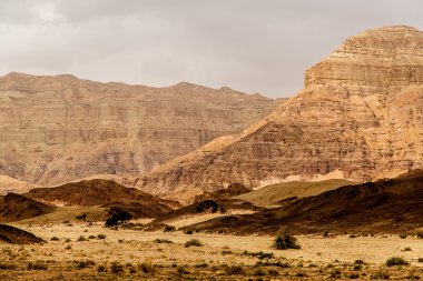 İsrail, Timna Park çölde güzel kırmızı kumtaşı