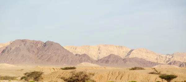 Beautiful red sandstone in the desert in Israel — Stock Photo, Image