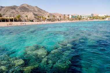 Kızıl deniz mercan kayalığı kristal berraklığında suları