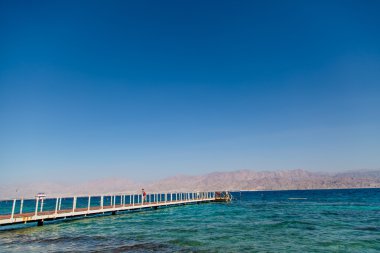 Kızıl deniz mercan kayalığı kristal berraklığında suları