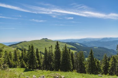 Romen Karpatlar güzel çayır 