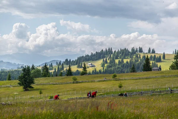 Krásná louka v rumunské Karpaty — Stock fotografie