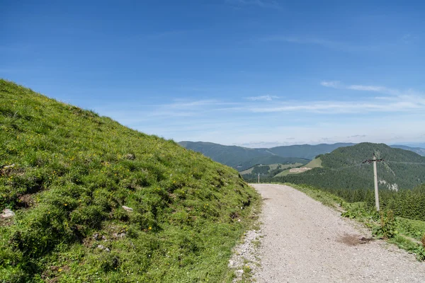 Krásná louka v rumunské Karpaty — Stock fotografie