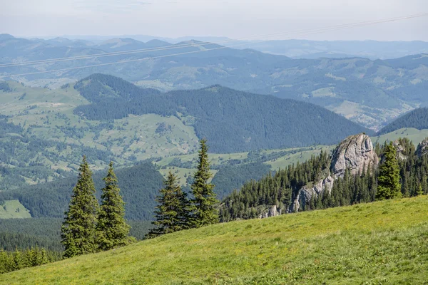 Krásná louka v rumunské Karpaty — Stock fotografie