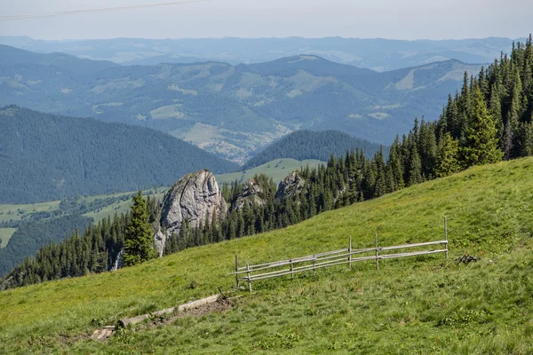 Krásná louka v rumunské Karpaty — Stock fotografie