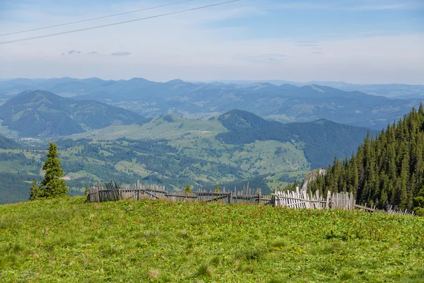 Krásná louka v rumunské Karpaty — Stock fotografie