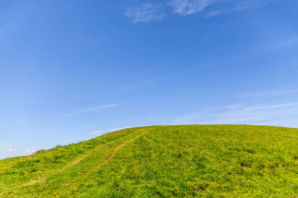 Mooie weide in de Roemeense Karpaten — Stockfoto