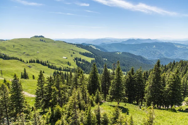 Krásná louka v rumunské Karpaty — Stock fotografie