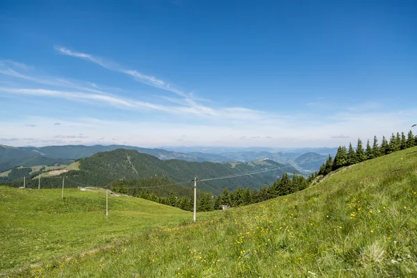 Nydelig eng i rumenske Karpatene – stockfoto