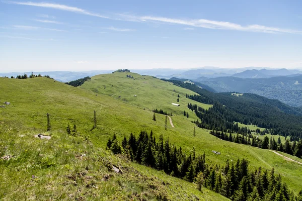 Krásná louka v rumunské Karpaty — Stock fotografie