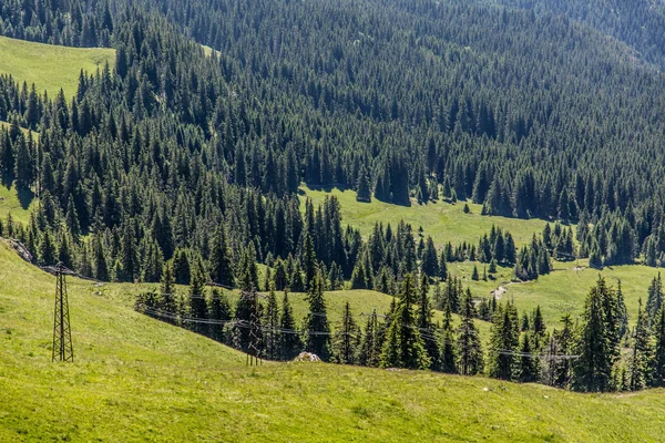 Krásná louka v rumunské Karpaty — Stock fotografie