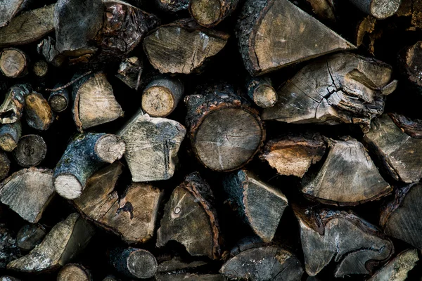 Träbjälkar i skogen — Stockfoto