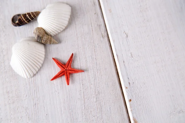 Sea and beach, natural colorful concept — Stock Photo, Image