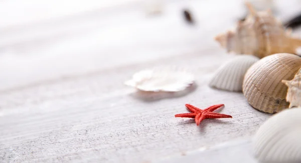 Sea and beach, natural colorful concept — Stock Photo, Image