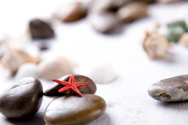 Tal van stenen en schelpen op het strand — Stockfoto