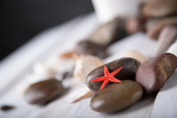 Starfish and shells on the beach — Stock Photo, Image