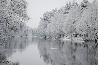 Nehrin kıyısındaki ağaçların kış manzarası. Donmuş küçük bir nehir. Ağaçlarla kaplı kıyılar. Nehrin kıyısında muazzam kar yığınları uzanır..