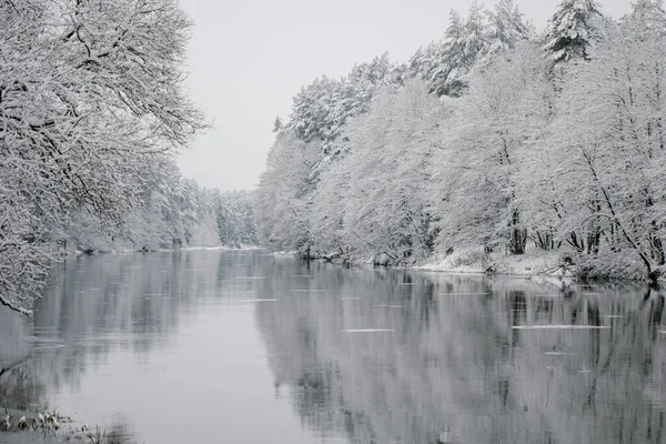 Зимний Пейзаж Деревьев Берегу Реки Замерзающая Речка Берега Деревьями Покрытыми — стоковое фото