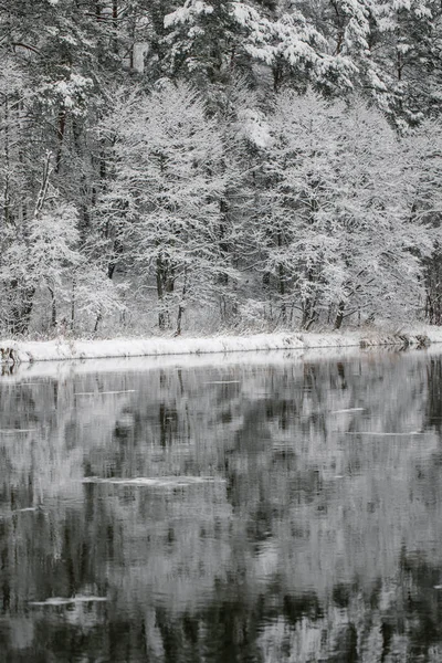 Winter landscape of trees on the edge of the river. Snow on the branches of trees. Reflection of snow in the river. Huge snowdrifts lie on the Bank of the stream.