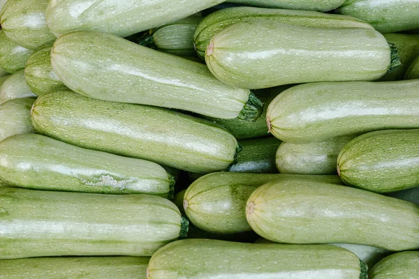 Freshly picked zucchini offered at farmer's marke. Summer squash. Food background.